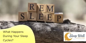 What Happens During Your Sleep Cycles?